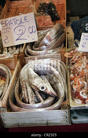 Pesci sciabola (Lepidopus caudatus) in vendita al mercato del pesce, Palermo, Sicilia Foto Stock