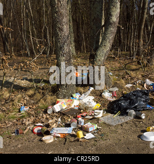 Illegalmente rifiuti oggetto di dumping - fly-ribaltamento / fly - ribaltamento in una foresta. Foto Stock