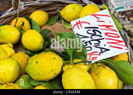 Limone fresco da Ischia Isola del Golfo di Napoli, campania, Italy Foto Stock