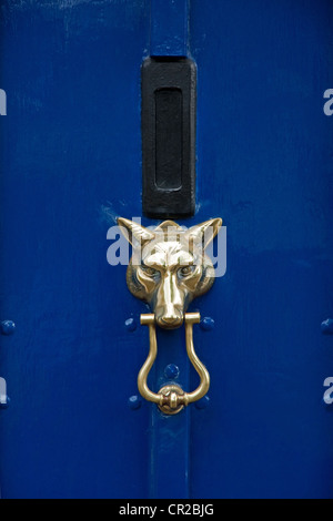 Porta in ottone respingente in forma di una testa del lupo sulla porta blu Foto Stock