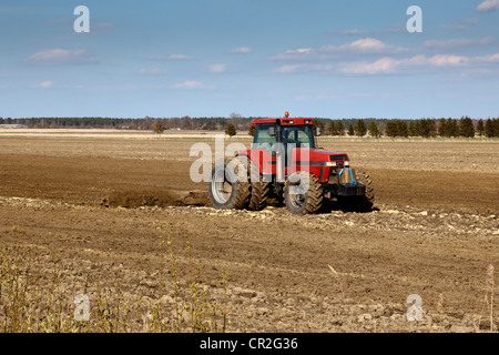 Il trattore campi coltivati in primavera Foto Stock