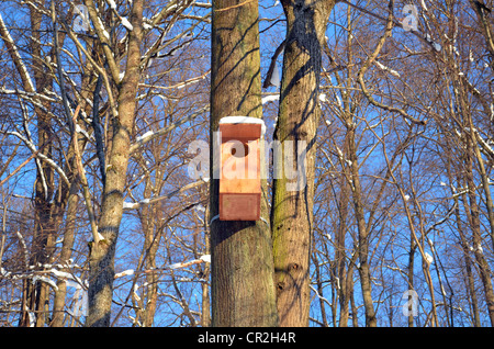 Grande la nidificazione di legno-cassetta pensile sull albero. Alberi innevati senza foglie su sfondo blu cielo d'inverno. Foto Stock