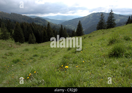 Borgo Pass, Transilvania, Romania, featured in Bram Stoker's romanzo Dracula. Foto Stock