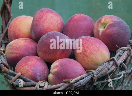 Close-up di appena raccolto le pesche in grapevine cestello Foto Stock