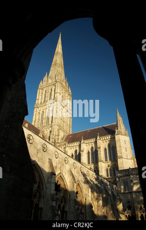 L'elegante campanile della cattedrale di Salisbury rivolta verso il cielo, visto attraverso un arco dal chiostro. Wiltshire, Inghilterra. Foto Stock