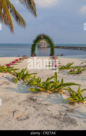 Belize matrimonio sulla spiaggia arco di fronde di palma e Rosa Bougenvellia Foto Stock