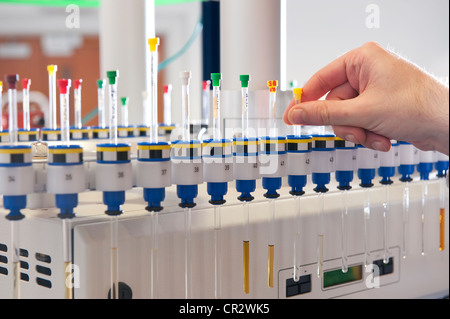 Tecnico di laboratorio il lavoro in laboratorio Foto Stock