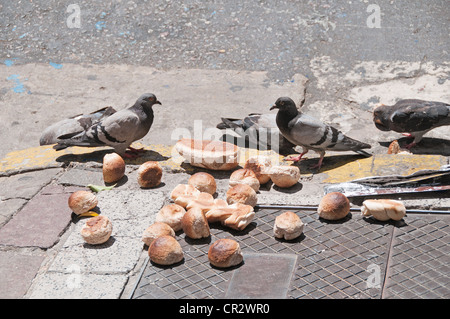 Piccioni mangiare pane lasciato sulla strada Foto Stock