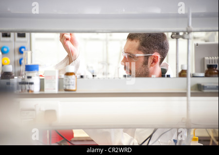 Tecnico di laboratorio il lavoro in laboratorio Foto Stock