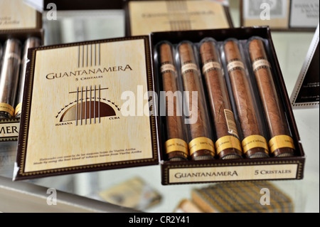 Guantanamera, sigari cubani originali, Santa Clara, Cuba, Antille Maggiori, Caraibi, America Centrale, America Foto Stock