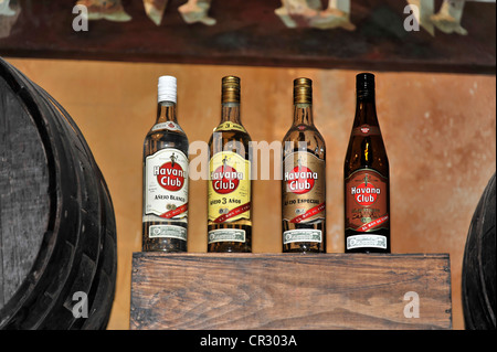 Il Rum, vari tipi di rum Havana Club, museo di rum, centro città dell Avana, Centro Habana, Cuba, Antille Maggiori, dei Caraibi Foto Stock