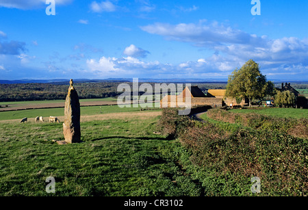 Francia, Saône et Loire, Brancion area, prati e agriturismo Foto Stock