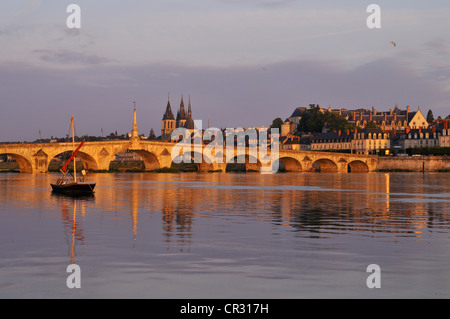 Francia, Loir et Cher, Valle della Loira Patrimonio Mondiale UNESCO, Blois, le banchine, Pont Jacques Gabriel e barca tradizionale Foto Stock