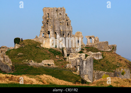 Una vista di resti di Corfe Castle Dorset Regno Unito Foto Stock