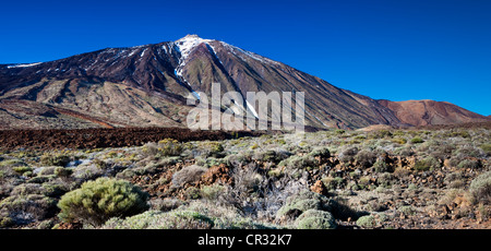 Vulcano Teide nel Parco Nazionale del Teide, sito Patrimonio Mondiale dell'UNESCO, Tenerife, Isole Canarie, Spagna, Europa Foto Stock