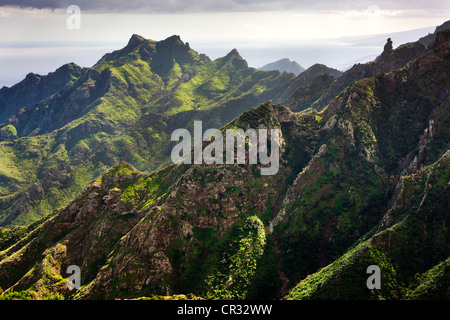 Las Montanas de Anaga, Macizo de Anaga montagne, Tenerife, Spagna, Europa Foto Stock