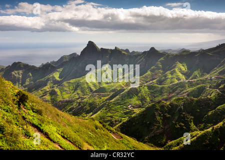 Nel Las Montanas de Anaga, Macizo de Anaga montagne, Tenerife, Spagna, Europa Foto Stock