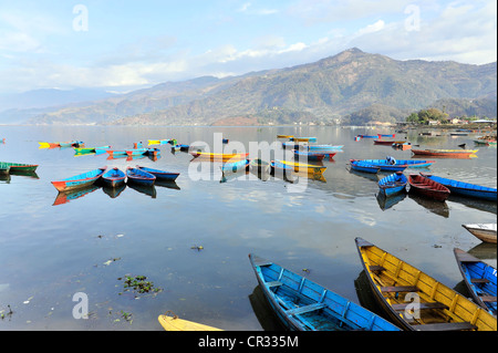 Barche a remi sul lago Phewa, Pokhara, Nepal, Asia Foto Stock