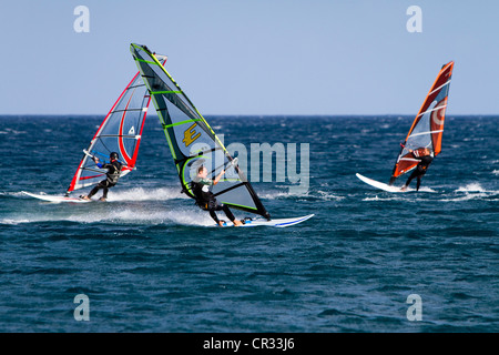 Windsurfers, El Medano, Tenerife, Isole Canarie, Spagna, Europa Foto Stock