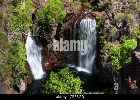 Firenze cade, il Parco Nazionale di Litchfield, Territorio del Nord, l'Australia Foto Stock