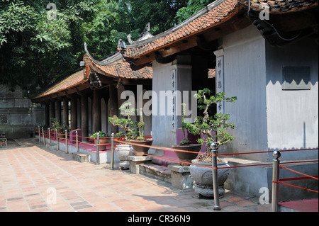 Turtle stele, Tempio della Letteratura, van mieu, centro storico, Hanoi, Vietnam asia del sud-est asiatico, Foto Stock