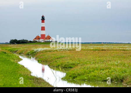 Faro di Westerheversand in mezzo alle saline sulla penisola di Eiderstedt, Frisia settentrionale, Schleswig-Holstein, Germania, Europa Foto Stock