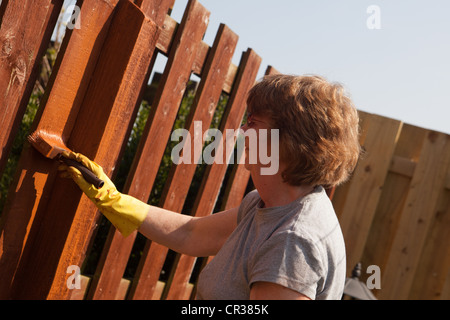 Pittura donna recinzione di legno con un conservante. Scozia UK Foto Stock