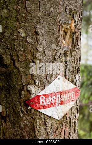 Segno su un albero 'Bergweg', Tedesco per 'mountain trail", Appenzello esterno o esterna di Rodi, Svizzera, Europa Foto Stock