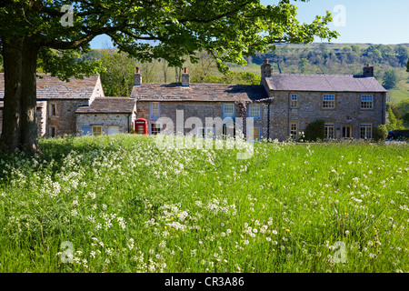 Arncliffe village green e cottage oltre, Yorkshire Dales National Park Regno Unito Foto Stock