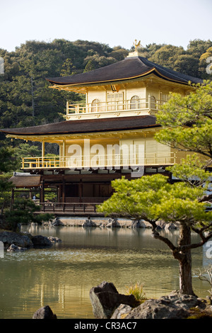 Giappone, isola di Honshu, la regione di Kansai, città di Kyoto, Kinkaku ji Patrimonio Mondiale dell'UNESCO, il Padiglione Dorato Foto Stock