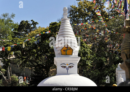 Stupa buddisti di Swayambhunath, Valle di Kathmandu, sito Patrimonio Mondiale dell'UNESCO, Kathmandu, Nepal, Asia Foto Stock