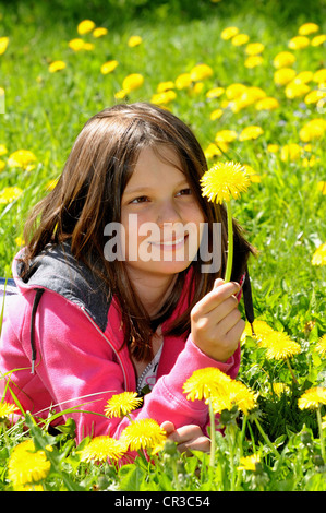 Ragazza, 12 anni, giacente in un campo di tarassaco, guardando un fiore Foto Stock