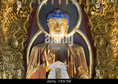 Giappone, Isola di Kyushu, Regione di Kyushu, di Nagasaki, Tempio buddista Shofukuji di influenza cinese, statua del Buddha Foto Stock