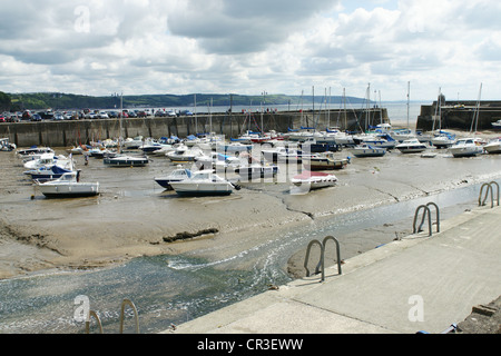 Saundersfoot Harbour, Pembrokeshire, Galles Foto Stock