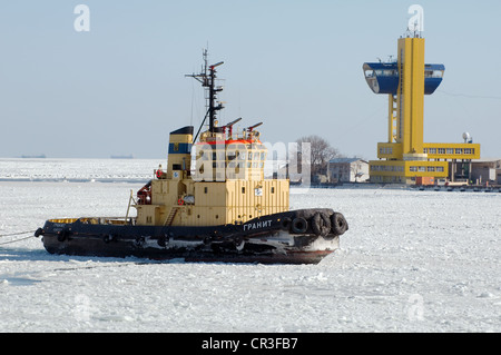 Il porto di Odessa è bloccato dal ghiaccio, congelati Mar Nero, un raro fenomeno, l'ultima volta si è verificata nel 1977, Odessa, Ucraina Foto Stock