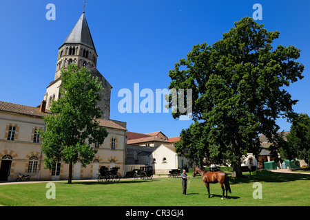 Francia, Saône et Loire, Maconnais, Cluny, Haras nazionale a fianco a fianco di Holly Acqua torre campanaria dell'ex abbazia Foto Stock