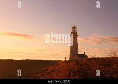 Yaquina Capo Faro, Newport, Oregon, Stati Uniti d'America Foto Stock