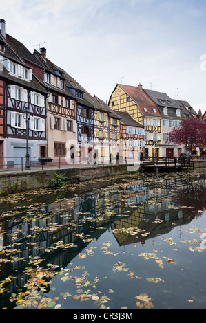 Tipiche case a graticcio, Petite Venise, Little Venice, città vecchia di Colmar, Alsazia, Francia, Europa Foto Stock