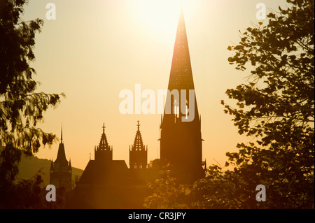 Freiburg Cathedral, Freiburg im Breisgau, Black Forest, Baden-Wuerttemberg, Germany, Europe Foto Stock