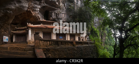 Il Vietnam, Ninh Binh Provincia, Hoa Lu, Bich Dong Pagoda in una grotta carsica Foto Stock