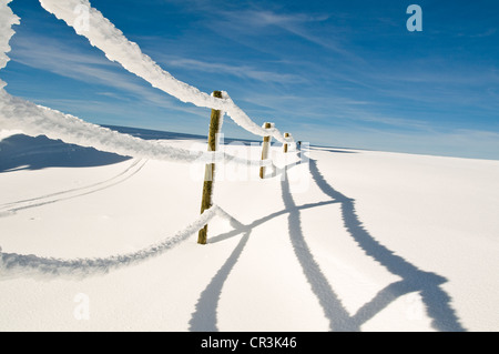 Coperte di neve sulla recinzione Felberg mountain, Foresta Nera, Baden-Wuerttemberg, Germania, Europa Foto Stock