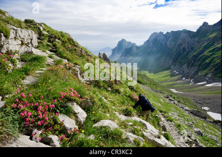 Mt. Saentis, Alpstein massiccio, Appenzell, Svizzera, Europa Foto Stock