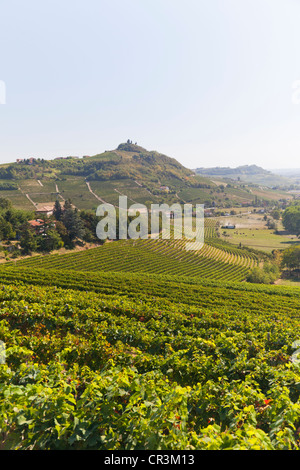 Vigneti vicino ad Asti, sud del Monferrato, in Piemonte, Italia, Europa Foto Stock