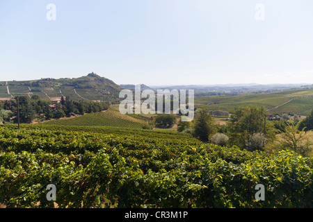 Vigneti vicino ad Asti, sud del Monferrato, in Piemonte, Italia, Europa Foto Stock