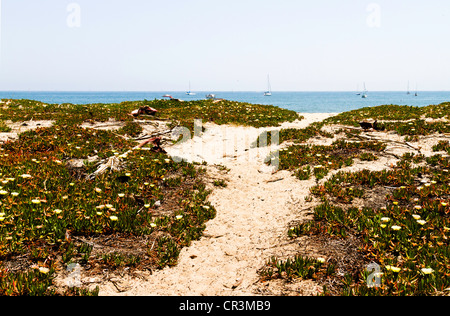 Oceano Pacifico visto dalla spiaggia di Santa Barbara in California" Foto Stock