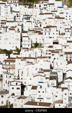 Casares, villaggio bianco in Marbella, Andalusia, Spagna, Europa Foto Stock