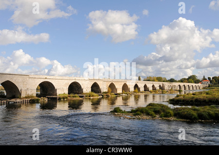 Ponte che attraversa il fiume Loira, Beaugency, villaggio, parrocchia, Oreleans, Loiret, Centre, Francia, Europa PublicGround Foto Stock