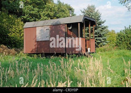 Semplice cabina in legno, trailer, boschi, Iserlohn, regione di Sauerland, Renania settentrionale-Vestfalia, Germania, Europa Foto Stock