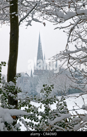 Lichfield Cathedral visto da di Stowe campi con una coperta di neve in inverno Foto Stock