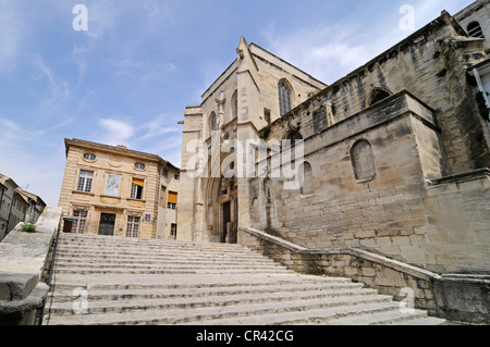 Saint Agricol Chiesa, Avignone, Provenza, Francia meridionale, Francia, Europa Foto Stock